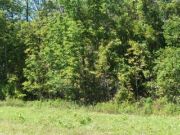 Part 2, Lorne Beach Road, Kincardine Township ~ Re/Max Land Exchange Ltd., Brokerage