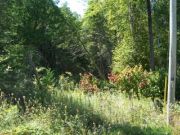 Part 1, Lorne Beach Road, Municipality of Kincardine ~ Re/Max Land Exchange Ltd., Brokerage