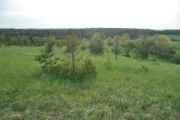 PT Lot 31-32 Conc. 6 Brant Twp ~ Re/Max Land Exchange Ltd., Brokerage