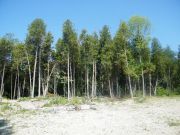 189 Birchwood Ave., Kinc. Twp. ~ Re/Max Land Exchange Ltd., Brokerage