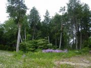197 Birchwood Ave., Kinc. Twp. ~ Re/Max Land Exchange Ltd., Brokerage
