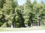 10 Upper Lorne Beach Road, Municipality of Kincardine ~ Re/Max Land Exchange Ltd., Brokerage