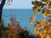 Pt Lt 18-19 Shoreline Rd Ashfield Colborne Wawanosh ~ Re/Max Land Exchange Ltd., Brokerage